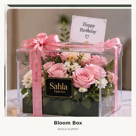 Bloom Box Modernland